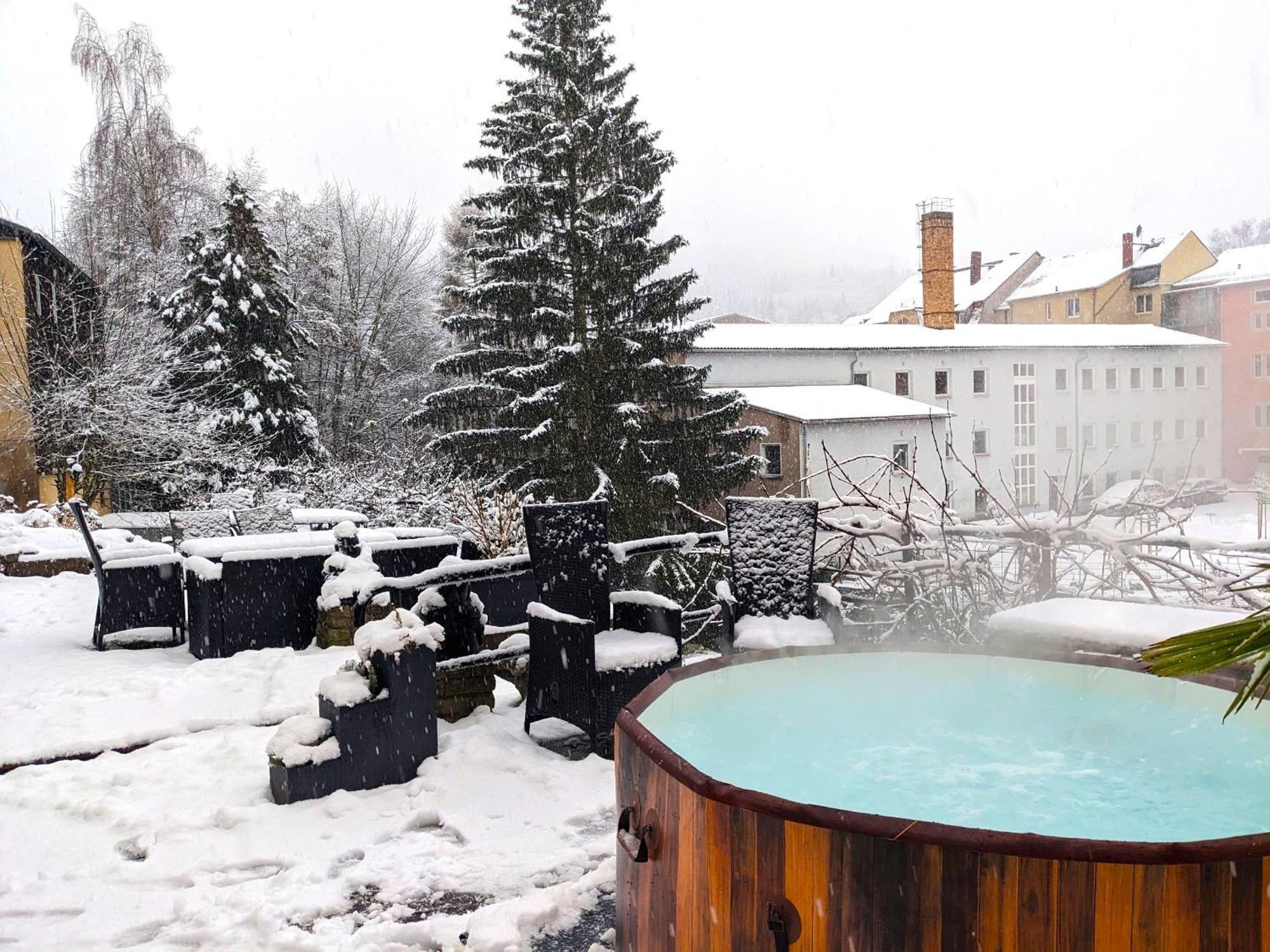 F1 - Urlaubsmagie - Helle Wohnung Mit Sauna & Pool & Whirlpool Sebnitz Exterior photo