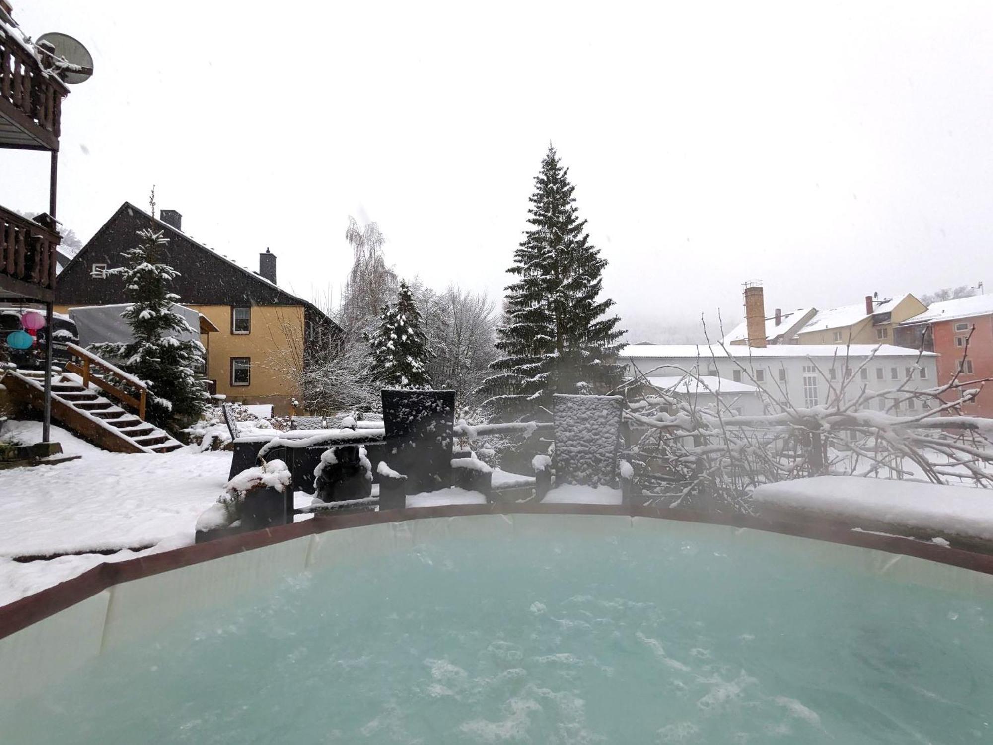 F1 - Urlaubsmagie - Helle Wohnung Mit Sauna & Pool & Whirlpool Sebnitz Exterior photo